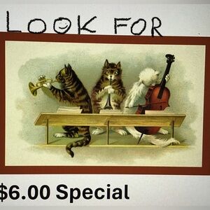 $6.00 Special